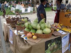IMG_0031