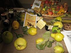 IMG_0070