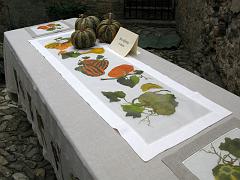 IMG_0101