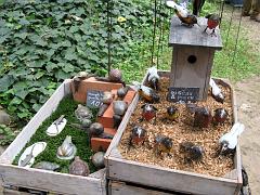 IMG_0110