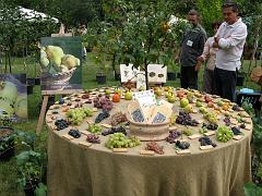 IMG_0143