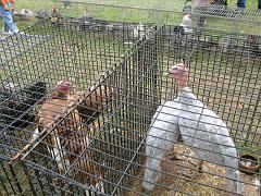 IMG_0159