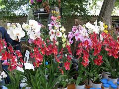 IMG_0175