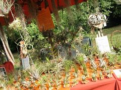 IMG_0206