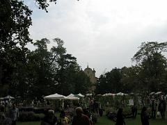IMG_0228