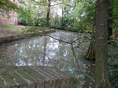 IMG_0229
