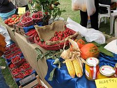 IMG_0247