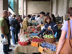IMG_0250