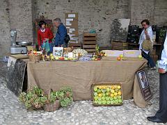 IMG_0254