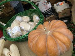 IMG_0257