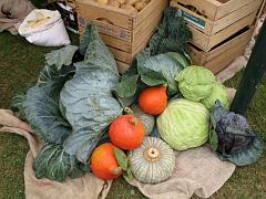 IMG_0260